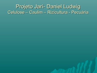 Projeto Jarí- Daniel LudwigProjeto Jarí- Daniel Ludwig
Celulose – Caulim – Rizicultura - PecuáriaCelulose – Caulim – Rizicultura - Pecuária
 