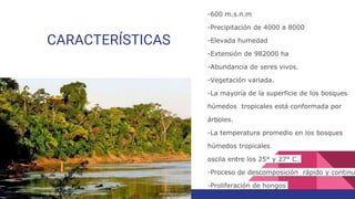 CARACTERÍSTICAS
-600 m.s.n.m
-Precipitación de 4000 a 8000
-Elevada humedad
-Extensión de 982000 ha
-Abundancia de seres vivos.
-Vegetación variada.
-La mayoría de la superficie de los bosques
húmedos tropicales está conformada por
árboles.
-La temperatura promedio en los bosques
húmedos tropicales
oscila entre los 25° y 27° C.
-Proceso de descomposición rápido y continu
-Proliferación de hongos
 