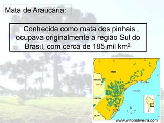 Mata de Araucária:
Conhecida como mata dos pinhais ,
ocupava originalmente a região Sul do
Brasil, com cerca de 185 mil km2.
www.wiltonoliveira.com
 