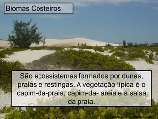 Biomas Costeiros
São ecossistemas formados por dunas,
praias e restingas. A vegetação típica é o
capim-da-praia, capim-da- areia e a salsa
da praia.
www.wiltonoliveira.com
 