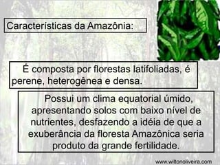 Características da Amazônia:
É composta por florestas latifoliadas, é
perene, heterogênea e densa.
Possui um clima equatorial úmido,
apresentando solos com baixo nível de
nutrientes, desfazendo a idéia de que a
exuberância da floresta Amazônica seria
produto da grande fertilidade.
www.wiltonoliveira.com
 
