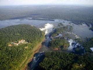 Amazonia canaima-pps -n_