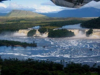 Amazonia canaima-pps -n_
