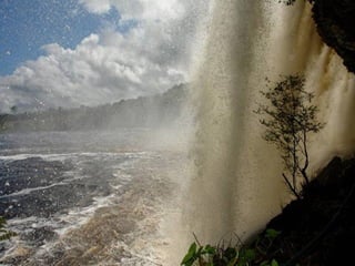 Amazonia canaima-pps -n_