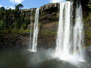Amazonia canaima-pps -n_
