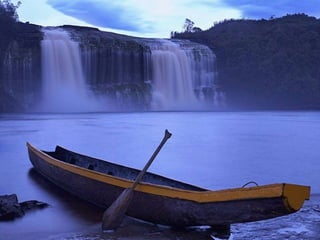 Amazonia canaima-pps -n_
