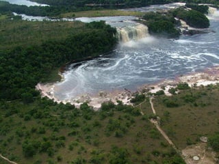 Amazonia canaima-pps -n_