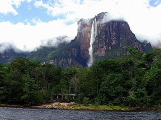 Amazonia canaima-pps -n_