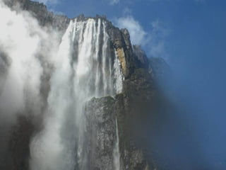 Amazonia canaima-pps -n_