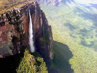 Amazonia canaima-pps -n_