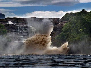 Amazonia canaima-pps -n_