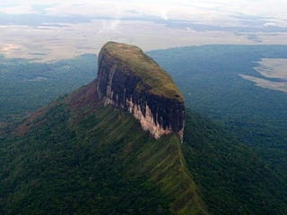 Amazonia canaima-pps -n_