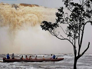 Amazonia canaima-pps -n_