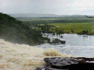Amazonia canaima-pps -n_