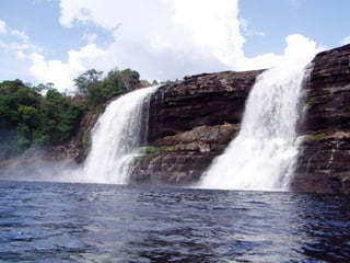 Amazonia canaima-pps -n_