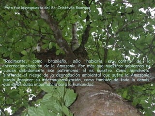 Ésta fue la respuesta del Sr. Cristóvão Buarque "Realmente, como brasileño, sólo hablaría en contra de la internacionalización de la Amazonía. Por más que nuestros gobiernos no cuiden debidamente ese patrimonio, él es nuestro. Como humanista, sintiendo el riesgo de la degradación ambiental que sufre la Amazonía, puedo imaginar su internacionalización, como también de todo lo demás, que es de suma importancia para la humanidad.  