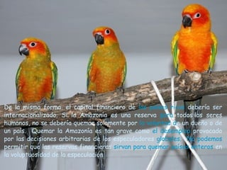 De la misma forma, el capital financiero de  los países ricos  debería ser   internacionalizado. Si la Amazonía es una reserva  para  todos los seres   humanos, no se debería quemar solamente por  la voluntad d e un dueño o de   un país.  Quemar la Amazonía es tan grave como  el desempleo  provocado por las decisiones arbitrarias de los   especuladores  globales.  No podemos  permitir que las reservas financieras  sirvan para quemar países enteros  en la voluptuosidad de la especulación .  