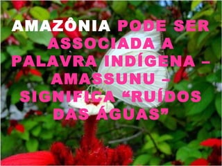 AMAZÔNIA  PODE SER ASSOCIADA A PALAVRA INDÍGENA – AMASSUNU – SIGNIFICA “RUÍDOS DAS ÁGUAS” 