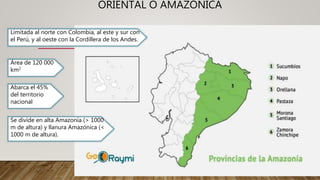 Región Amazónica del Ecuador | PPTX