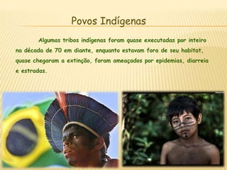 Povos Indígenas	Algumas tribos indígenas foram quase executadas por inteiro na década de 70 em diante, enquanto estavam fora de seu habitat, quase chegaram a extinção, foram ameaçados por epidemias, diarreia e estradas. 