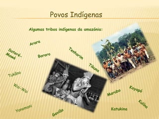Povos Indígenas	Algumas tribos indígenas da amazónia:AraraTenharimSateré-MawéBororoTikunaTukânoWai-WaiKayapóMaruboKulínaYanomaniKatukinaGavião