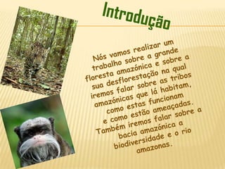 IntroduçãoNós vamos realizar um trabalho sobre a grande floresta amazónica e sobre a sua desflorestação na qual iremos falar sobre as tribos amazónicas que lá habitam, como estas funcionam e como estão ameaçadas. Também iremos falar sobrea bacia amazónica a biodiversidade e o rio amazonas. 