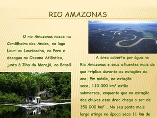 RIO AMAZONAS	O rio Amazonas nasce na Cordilheira dos Andes, no lago Lauri ou Lauricocha, no Peru e desagua no Oceano Atlântico, junto à Ilha do Marajó, no Brasil	A área coberta por água no Rio Amazonas e seus afluentes mais do que triplica durante as estações do ano. Em média, na estação seca, 110 000 km2 estão submersas, enquanto que na estação das chuvas essa área chega a ser de 350 000 km2 . No seu ponto mais largo atinge na época seca 11 km de largura, que se transformam em 45 km na estação das chuvas.