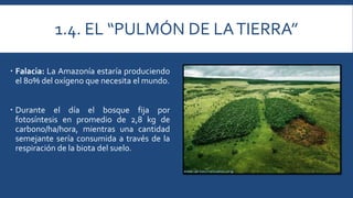 1.4. EL “PULMÓN DE LA TIERRA” 
 Falacia: La Amazonía estaría produciendo 
el 80% del oxígeno que necesita el mundo. 
 Durante el día el bosque fija por 
fotosíntesis en promedio de 2,8 kg de 
carbono/ha/hora, mientras una cantidad 
semejante sería consumida a través de la 
respiración de la biota del suelo. 
 