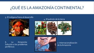 ¿QUÉ ES LA AMAZONÍA CONTINENTAL? 
7. Internacionalización 
de la Amazonía 
5. El indígena freno al desarrollo 
6. La Amazonía: 
Solución a los problemas 
periféricos 
4. El pulmón de la tierra 
 