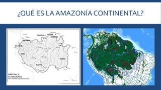 ¿QUÉ ES LA AMAZONÍA CONTINENTAL? 
 