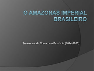 Amazonas: de Comarca à Província (1824-1850)
 