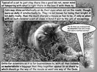 Amazonian a Schrödinger’s Cat Box