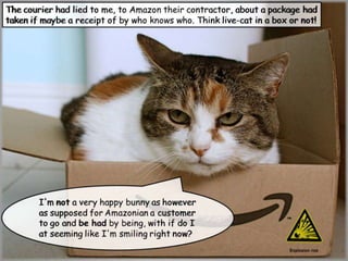Amazonian a Schrödinger’s Cat Box