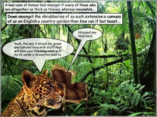 Amazonian a Schrödinger’s Cat Box