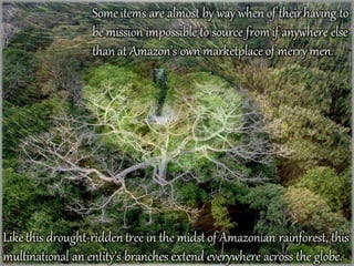 Amazonian a Schrödinger’s Cat Box