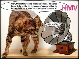 Amazonian a Schrödinger’s Cat Box