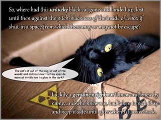 Amazonian a Schrödinger’s Cat Box