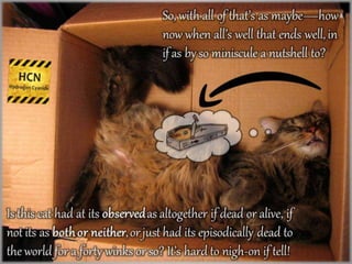 Amazonian a Schrödinger’s Cat Box