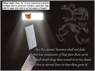 Amazonian a Schrödinger’s Cat Box