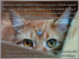 Amazonian a Schrödinger’s Cat Box