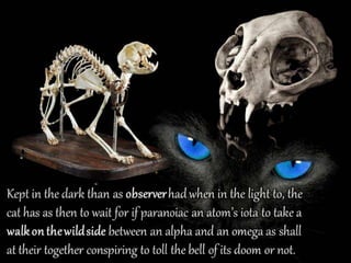 Amazonian a Schrödinger’s Cat Box