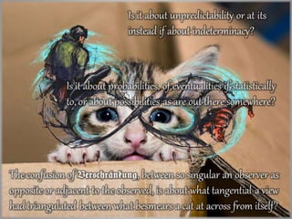 Amazonian a Schrödinger’s Cat Box