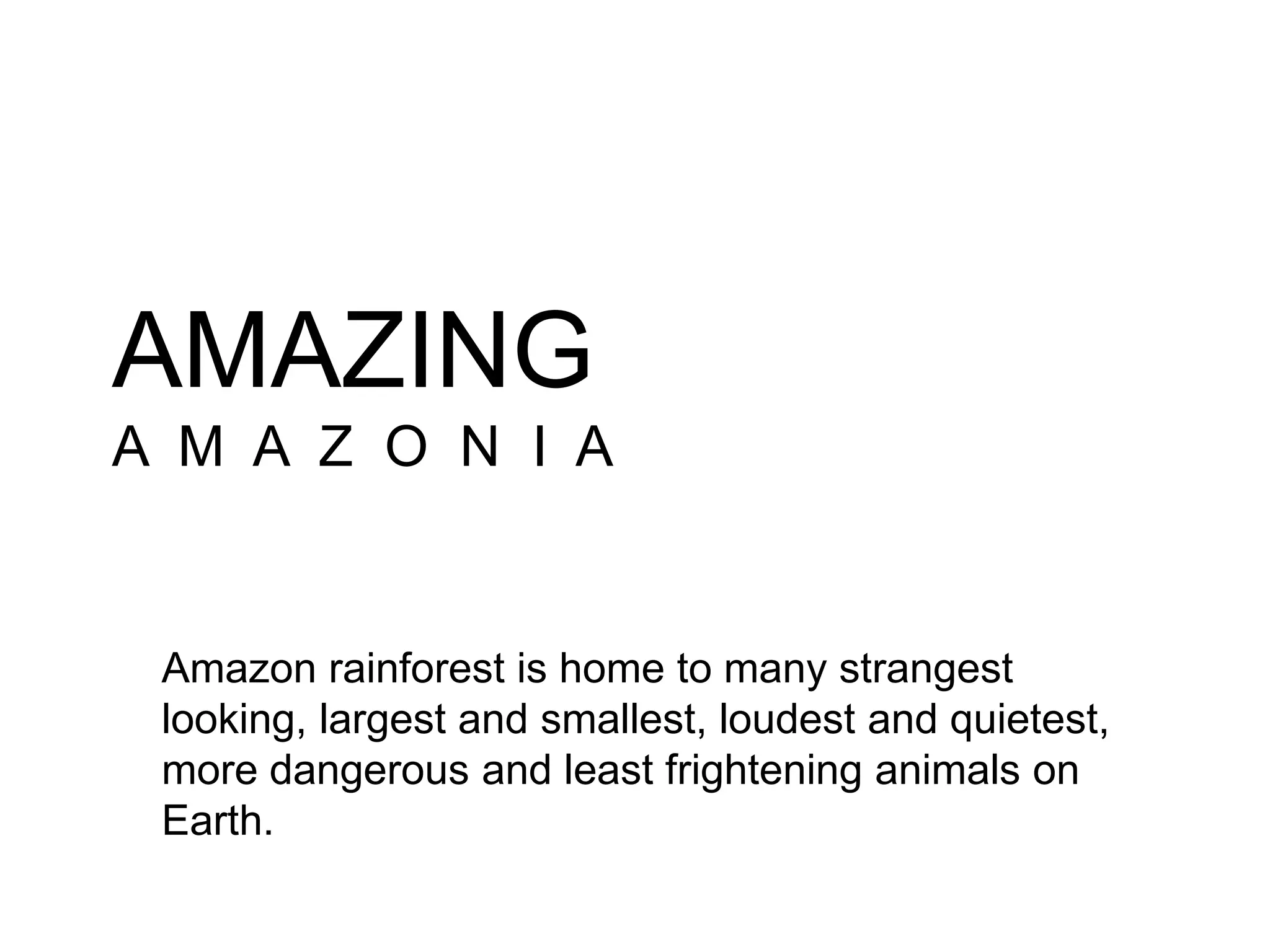 Amazon rainforest is home to many strangest
looking, largest and smallest, loudest and quietest,
more dangerous and least frightening animals on
Earth.
AMAZING
A M A Z O N I A
 
