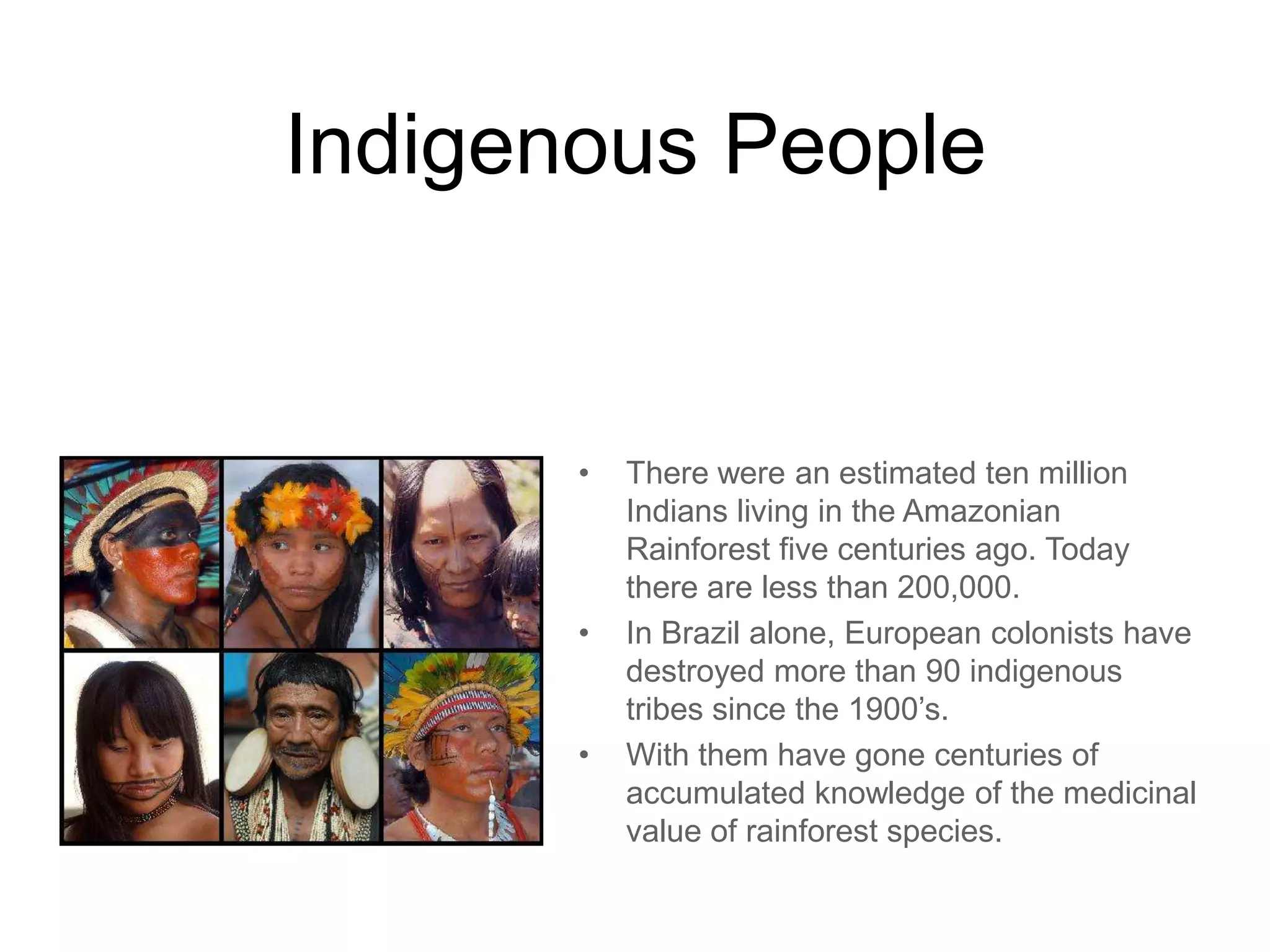 Indigenous People
• There were an estimated ten million
Indians living in the Amazonian
Rainforest five centuries ago. Today
there are less than 200,000.
• In Brazil alone, European colonists have
destroyed more than 90 indigenous
tribes since the 1900’s.
• With them have gone centuries of
accumulated knowledge of the medicinal
value of rainforest species.
 