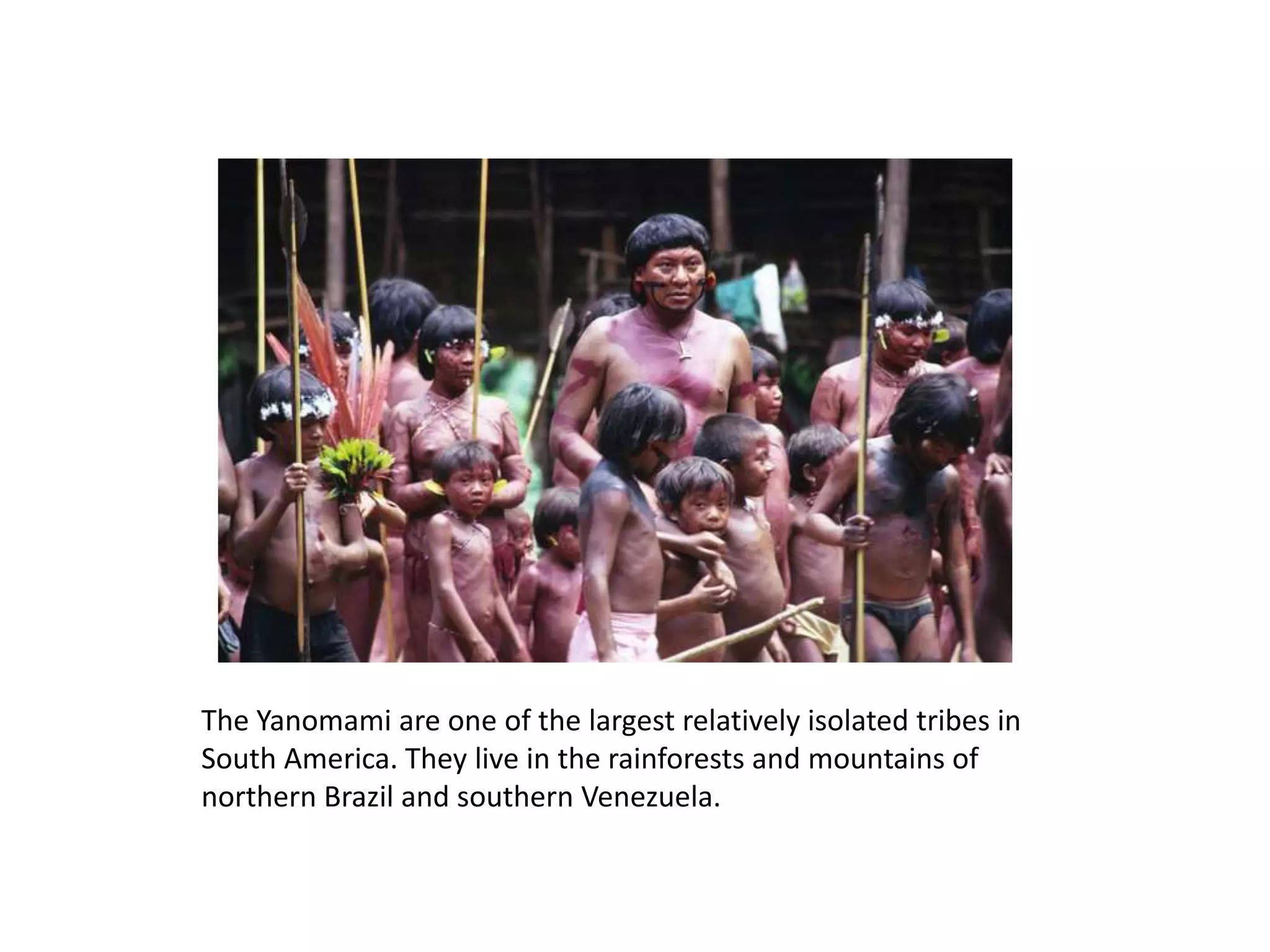 The Yanomami are one of the largest relatively isolated tribes in
South America. They live in the rainforests and mountains of
northern Brazil and southern Venezuela.
 