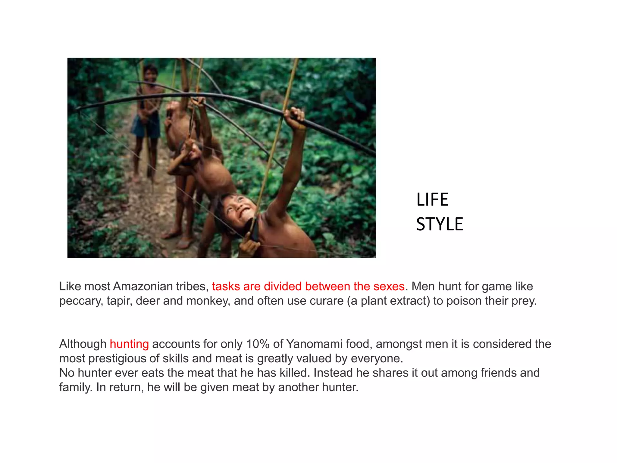 Like most Amazonian tribes, tasks are divided between the sexes. Men hunt for game like
peccary, tapir, deer and monkey, and often use curare (a plant extract) to poison their prey.
Although hunting accounts for only 10% of Yanomami food, amongst men it is considered the
most prestigious of skills and meat is greatly valued by everyone.
No hunter ever eats the meat that he has killed. Instead he shares it out among friends and
family. In return, he will be given meat by another hunter.
LIFE
STYLE
 