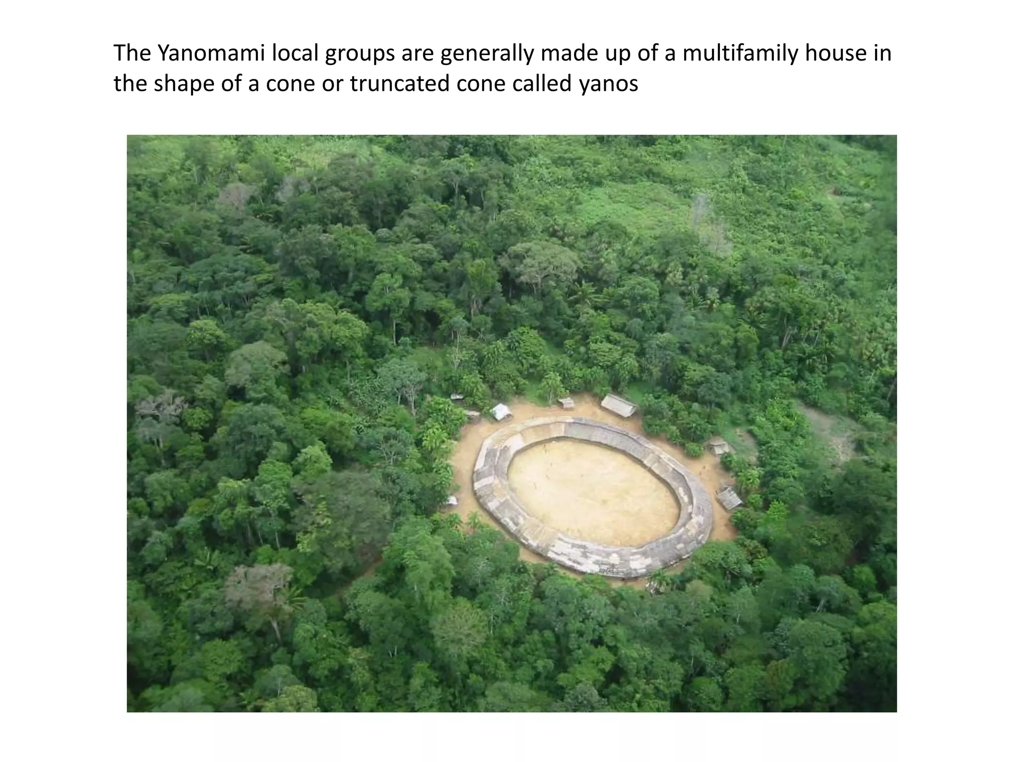 The Yanomami local groups are generally made up of a multifamily house in
the shape of a cone or truncated cone called yanos
 