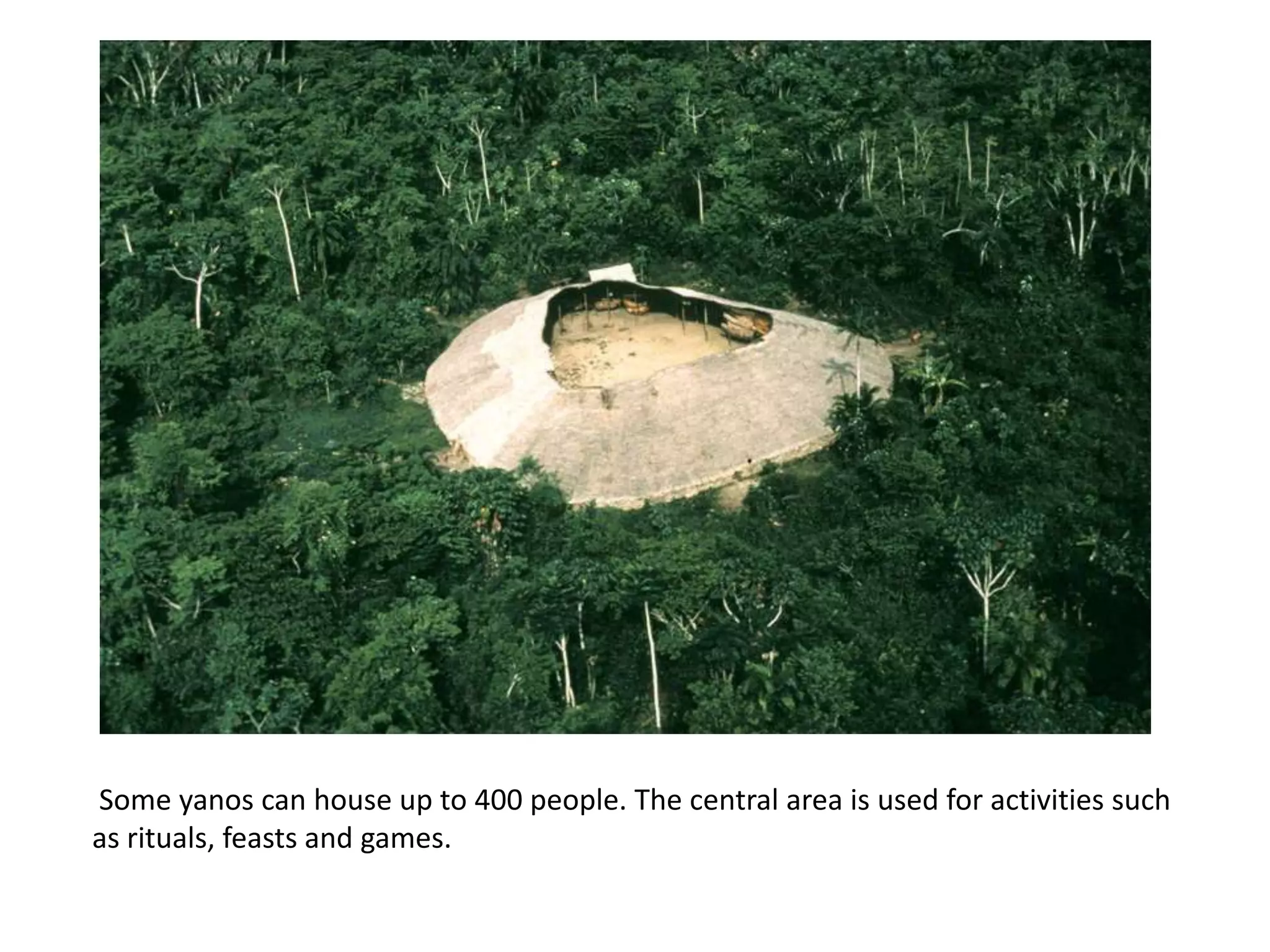 Some yanos can house up to 400 people. The central area is used for activities such
as rituals, feasts and games.
 