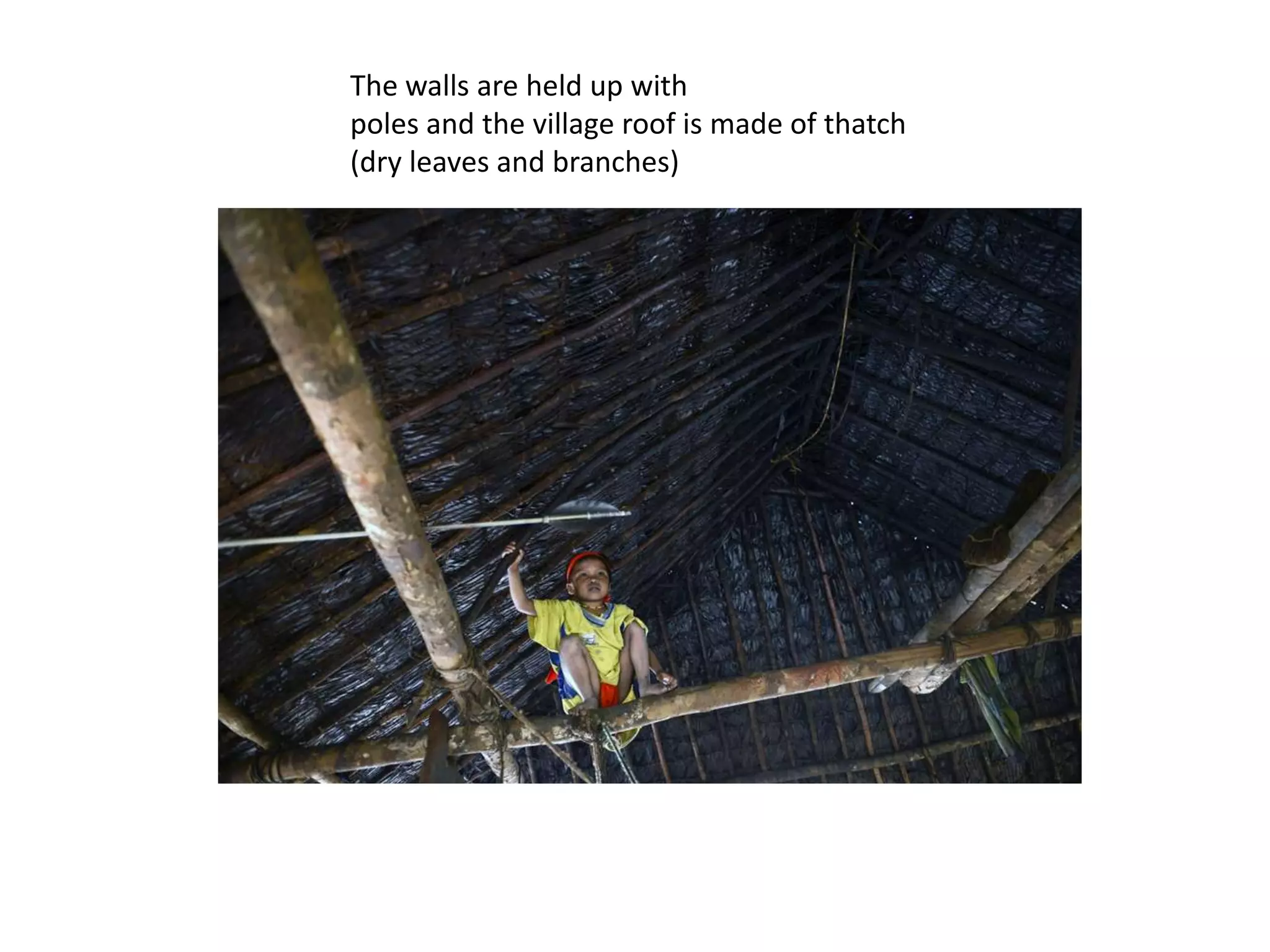 The walls are held up with
poles and the village roof is made of thatch
(dry leaves and branches)
 
