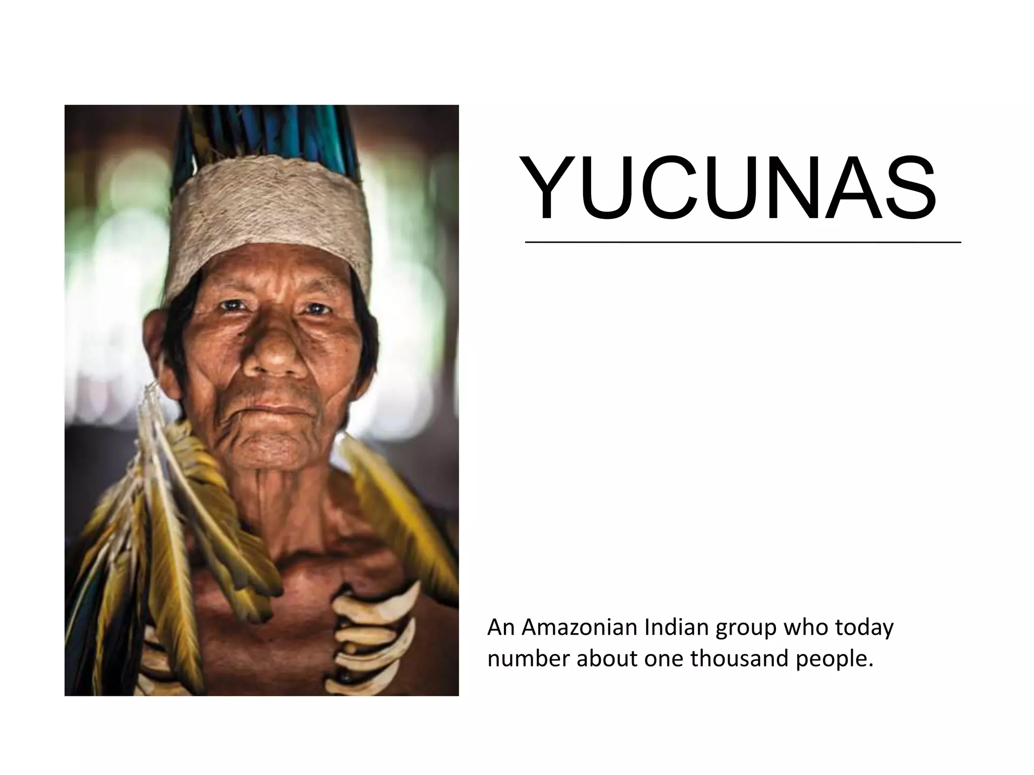 YUCUNAS
An Amazonian Indian group who today
number about one thousand people.
 